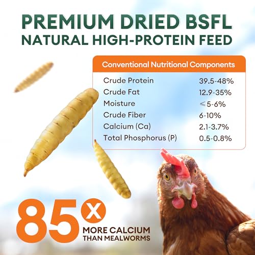 BUCATSTATE 10LB Dried Black Soldier Fly Larvae, BSFL Treats for Chickens | 85x More Calcium Than mealworms, High Protein Non-GMO for Ducks, Wild Birds, Hamsters, Reptiles, Hedgehogs & Pond Fish