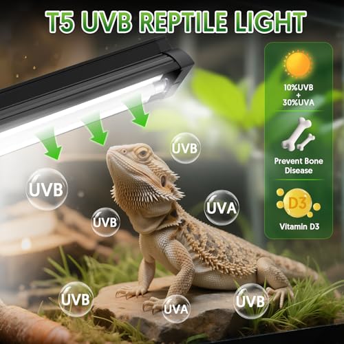 QZQ T5 UVB Reptile Light Fixture Combo Kit 8W, 10.0 UVB Light for Reptiles, Terrarium Hood Comes with Desert UVB Lamp for Bearded Dragon, Gecko, Tortoise, Lizard - size: 8W-10.0-12.4IN