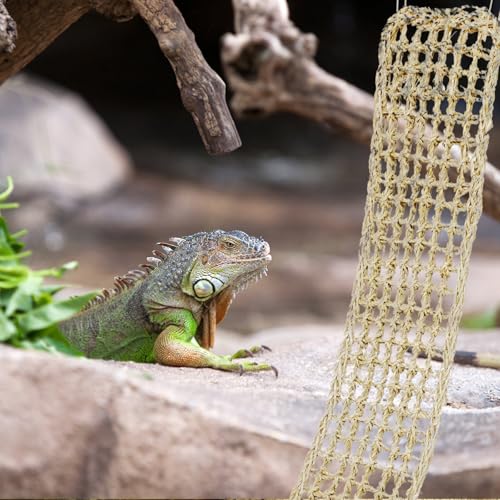 3 Pieces Bearded Dragon Hammock Reptile Hammock Lizard Climbing Lounger with 12 Metal Buckles 12 Suction Cups Tank Accessories Jungle Toys for Hermit Crab Gecko Snake Iguana Amphibian Habitat