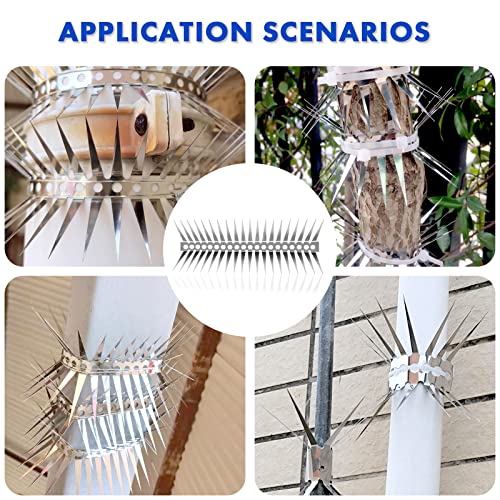 Bird Spikes - 20 Inch Stainless Steel Fence Spikes for Pigeons, Raccoons, Snakes - Deterrent Defender | 20 inch stainless steel bird spikes - size: 20 inch
