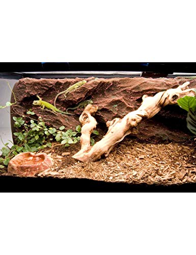 T-Rex Reptile Terrarium Decor - Rock Ridge Background - 10 Gallon