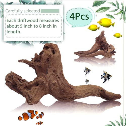 Tfwadmx Natural Driftwood for Aquarium Decor-4 Pieces 5-8" Assorted Driftwood,Fish Tank Drift Wood Decoration, Freshwater Wood Branches Ornament for Reptile Terrarium,Air Plants - size: Small: 5-8"(4Pcs)
