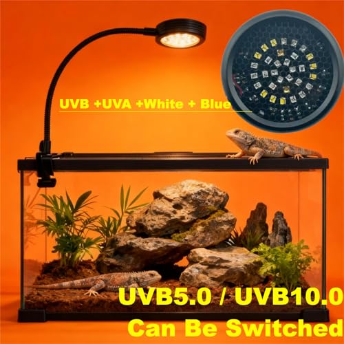 Premium 10.0/5.0 UVB Selectable LED Reptile Light with Clip, 5W High-Intensity LED Reptiles Lamp, Remote Control, UVB+UVA+White+Blue - color: With Clip