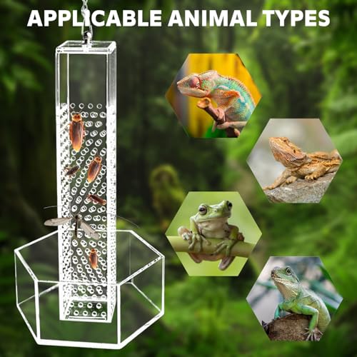 Chameleon Feeding Bowl, Hanging Transparent Acrylic Bearded Dragon Feeder, Hookable Lizard Feeder, Column for Insects to Climb Suitable for Lizard, Iguana, Gecko,Bearded Dragon