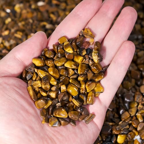 Yellow Tiger Eye Chips Bulk 1lb, 1200+ Pieces, 5-8mm Natural Gemstones - color: Yellow Tiger Eye, size: 1LB
