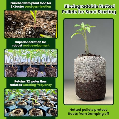 Organic Coco Coir Seed Starter Pellets NPK Enriched 50 Pcs, 35mm Perfect to Grow Herbs, Vegetables, Flowers,Fruits Seedlings, Compressed Coconut Coir Soil Plugs - Easy to Transplant in Pot - size: 50 Pack - NPK Enriched Seed Starter Pellets