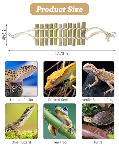 VCEPJH Reptile Bridge 2 Pack Crested Gecko Climbing Ladder Bamboo Basking Lounger Leopard Gecko Tank Accessories for Hermit Crab Juvenile Bearded Dragon Chameleon Small Lizard Tree Frog