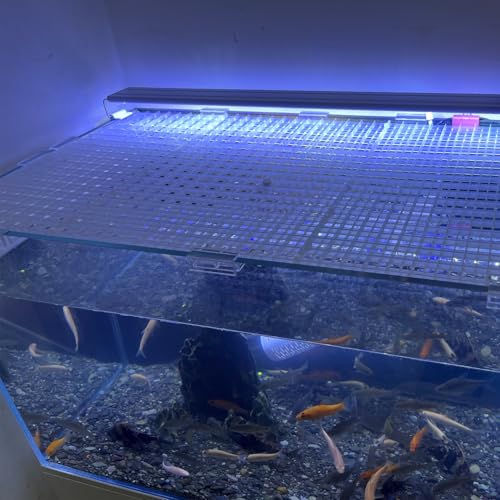 4Pcs Adjustable Aquarium Grid Lid with Clip Fish Tank Top Cover Filter Bottom Tray Divider Isolation Board Egg Crate Tray