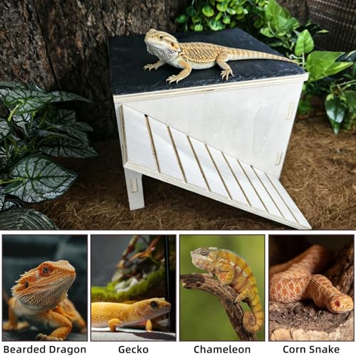 Bearded Dragon Basking Platform Wood Reptile Hide Cave Gecko Hide | Medium,9.1"×7.8"×7.1",Detachable,Installation Instructions,with Slate Rock Mat,for Gecko Chameleon Snake Crested Gecko - size: Medium
