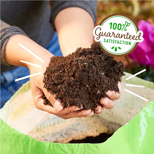 Back to the Roots All-Purpose Potting Mix 6 Quarts (Best Value), 100% Organic & USA Made for Herbs, Veggies, Flowers, w/Nutrient Rich Plant Food, Worm-Castings, & Moisture Controlling Yucca, 2 Packs - size: 12 Quart, style: Specialty Soil