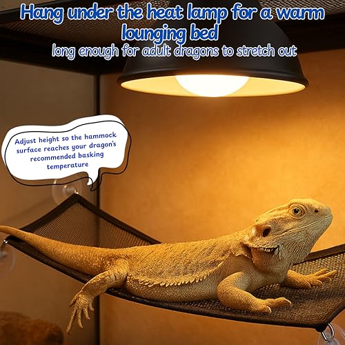 Bearded Dragon Hammock Large Tank Bed, Mesh Lounger with Suction Cups & Cable Ties, Reptile Basking Ramp/Bed, Fits Bearded Dragons & Leopard Geckos (Rectangle, 28" x 10") - color: Rectangle