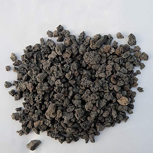 TOYPOPOR Black Horticultural Lava Rock Soil Additive for Cacti Succulents Plants No Dyes or Chemicals 100% Pure Volcanic Rock 2.2LB Top Dressing - color: Black Horticultural Lava Rock, size: 2.2 lb