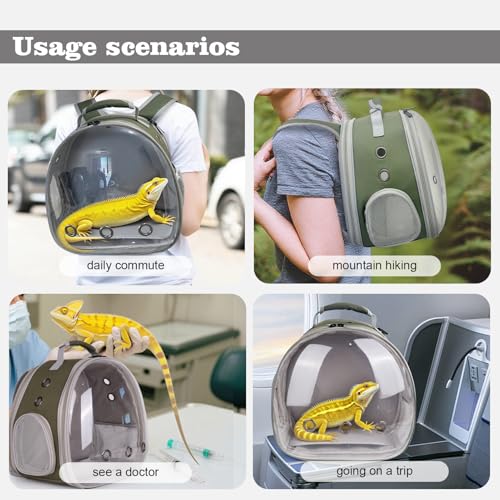 WEVONIGU Expandable Small Animal Backpack Carrier with Clear Bubble Window Large Space Travel Cage for Hedgehog Rat Parrot,Bearded Dragon,Sugar Glider,Airline Approved (Army Green, BE Backpack) - color: Army Green, size: 8.0"L x 7.0"W x 5.0"H