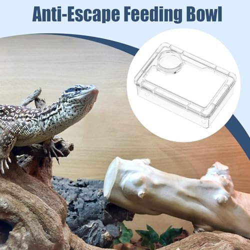 Anti-Escape Crested Gecko Food Dish, Transparent Chameleon Feeding Bowl, Acrylic Reptile Amphibian Habitat Feeders, Pet Supplies, for Tortoise Frog Snake Terrarium Lizard Spider - color: White
