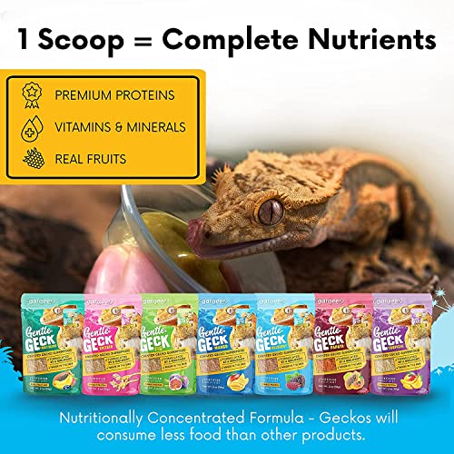 Gargeer 8oz Gentle Geck Mulberry Diet - Crested Gecko Food. Made in USA | Expert-crafted superfood! Infused with organic mulberry, wild insect proteins & probiotics. No soy, wheat, or fillers - size: 8 Ounce (Pack of 1)
