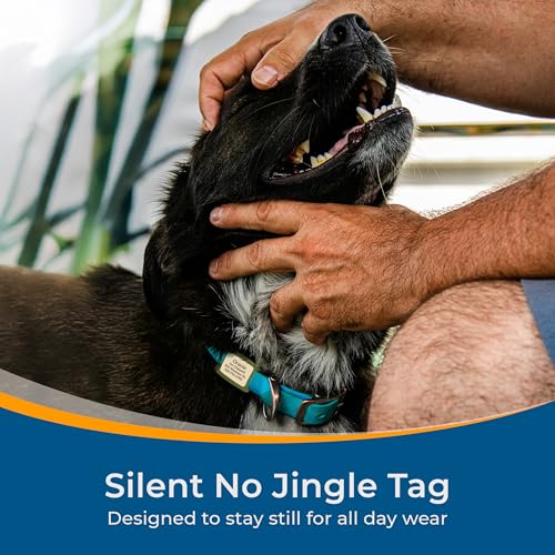 GoTags Lifestyle Silent Dog Tag, Personalized Engraved Silicone Pet ID Tags | Soundless Quiet Slide On Nameplate for Cat Collars with Name and Number, No More Jingling Tags (Beach Glass, Small) - color: Lifestyle Beach Glass, size: Small (Pack of 1)