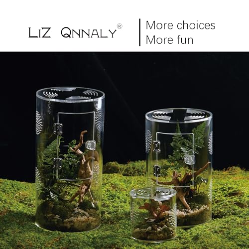 Acrylic Terrarium for Reptiles & Spiders – Small/Medium/Large Leak-Proof Enclosure (Horizontal/Vertical) | Ideal for Tarantulas, Jumping Spiders, Frogs & Geckos(Small, Round) - size: Small