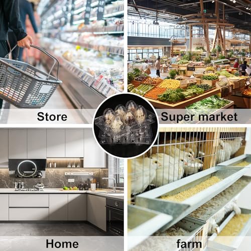 300 Pack Quail Egg Cartons, Clear Plastic Quail Egg Trays, Holds up to 6 Quail Eggs Securely - Your Ultimate Small Eggs Carton Holders for Bulk Storage and Display - size: 300 Pack Quail Egg Cartons 6 Grids