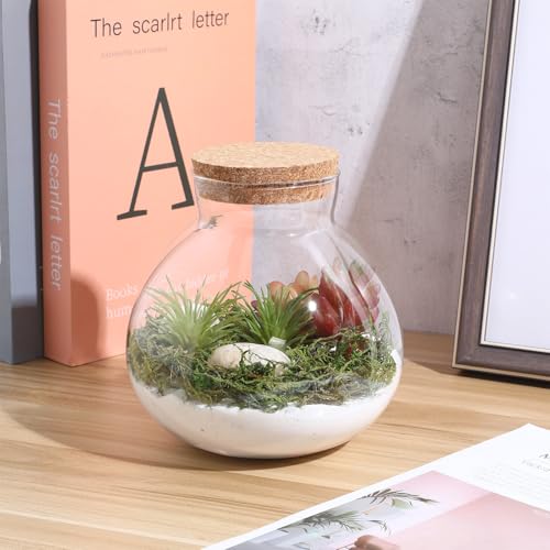 KALLORY Sealed Glass Plant Bottle with Cork Stopper for Miniature Ecosystems 15Cm X 16Cm Round Glass Terrarium Container for Home Garden Decor