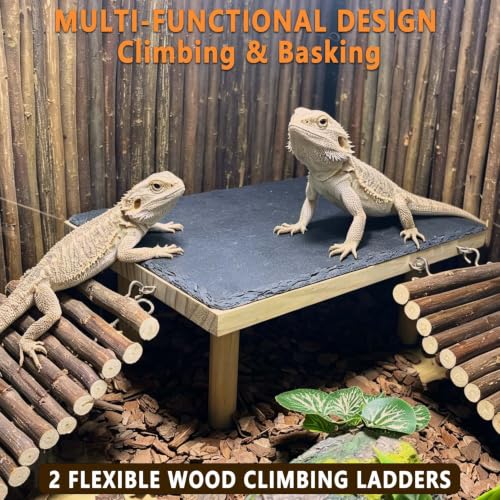 Bearded Dragon Basking Platform with Climbing Ramp,Reptile Basking Rock (M) | Wooden Lizard Resting Platform Basking Rock Slate,Leopard Gecko Hide Cave Tank Accessories for Tortoise Snake - size: M: 11.8" x 6" x 4.56"