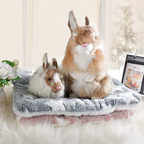 Small Animal Bed Mat, Soft & Warm, Suitable for Guinea Pig, Hamster, Rabbit, Rat and Bearded Dragon (X-Large(13.3''x9.4''), Star Red) - color: Star Red, size: X-Large(13.3''x9.4'')