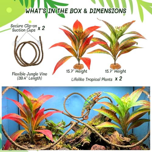 3PC Reptile Plants & Habitat Decor Kit – Realistic Artificial Reptile Plants with Hanging Vine, Resin Stone Base – Jungle & Rainforest Climbing Setup for Snake, Tortoise & Chameleon (Nidus Leaf) - color: Nidus Leaf