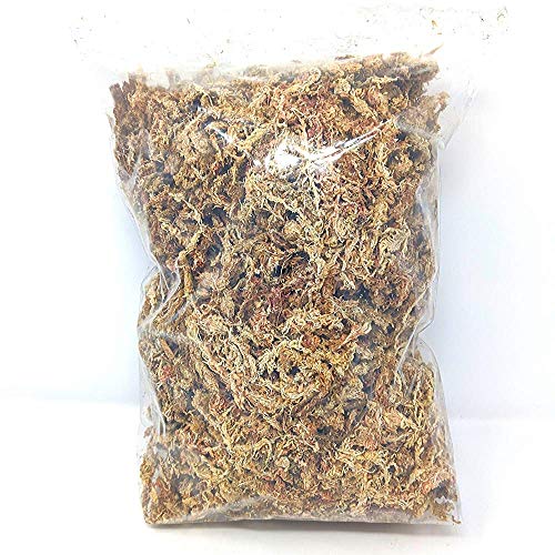 Terrarium Sphagnum Moss - 1 Gallon - Great for Reptiles, Amphibians and Insects - Holds Humidity Very Well