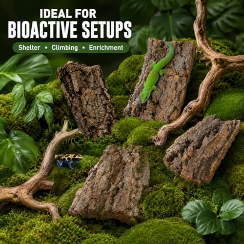 SHINEOFI 4 Pack Natural Cork Bark Reptile Hides for Terrariums | Random-shaped bark pieces for hides, basking platforms and enclosure landscaping for geckos, lizards, snakes and tortoises