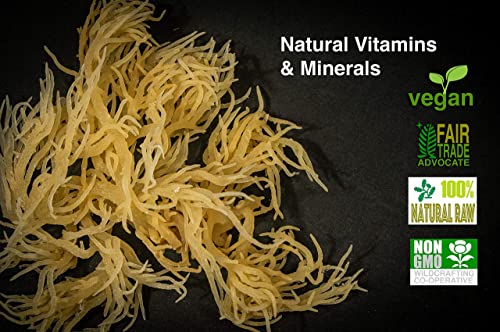 Karibbean Flavour Dried Sea Moss (Pack of 5) x 3Oz/85g) | Caribbean Superfood - Wildcrafted Seedstock - Ethically Harvested - Makes Over 10 Quarts Gel - size: 3 Ounce (Pack of 5)