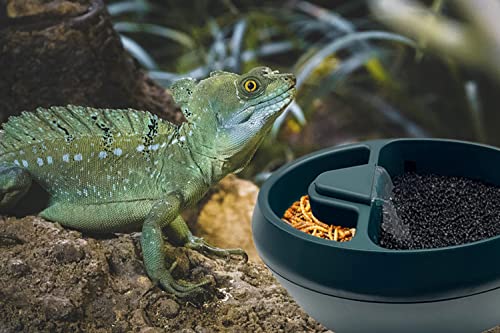 Reptile Chameleon Waterfall Drinking Fountain, Chameleon Water Dripper Food Bowl Water Cantina for Amphibians Insects Lizard Turtle Snake Frog Gecko