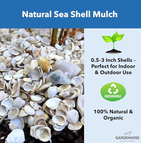 Natural Organic Sea Shell Mulch for Gardens and Landscaping – Decorative and Nutrient-Rich, 0.5–3-Inch Shells, Perfect for Indoor and Outdoor Use (0.5 CF - 14 L - 15 QTS) - color: Sea Shell Mulch, size: 0.5 CF - 14 L - 15 QTS