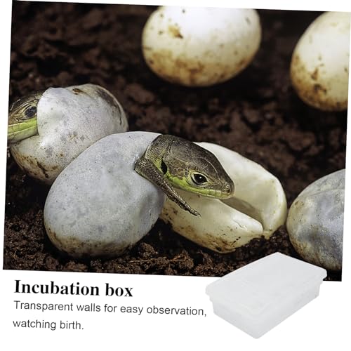 HANABASS 20grids Reptile Hatching Incubator Box Breeding Kit for Eggs View of Hatching Process Easy Fun Experience