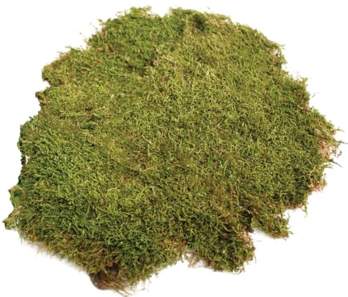 SuperMoss (21580) Sheet Moss Dried, Natural, 2 Ounce - color: Natural Dried, size: 3 Ounces