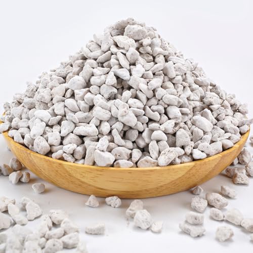 Horticultural Bonsai Pumice Succulent and Cactus Plants Garden Turface Pumice Gravel Rocks Tree Soil Additive Faster Draining Blend, Optimal Drainage, Improves Soil Aeration and Promotes Root 2.2-lbs - color: Pumice Rock, size: 2.2 lb