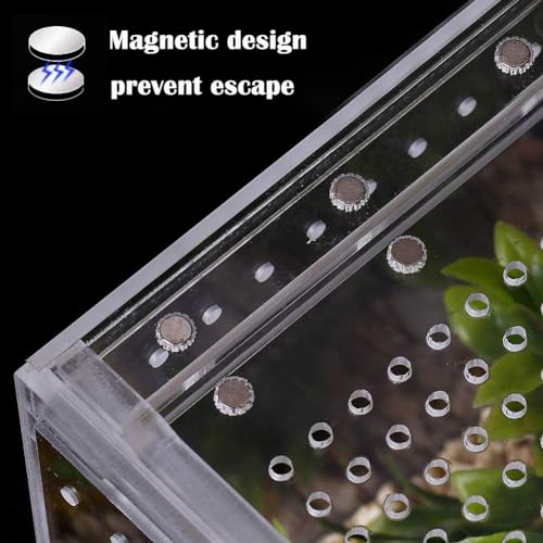 Small Acrylic Tarantula Enclosure Terrarium with Magnetic Button,8 * 4 * 4inch Thicken Isopod Enclosure,Spider Cage,Terrarium for Reptiles,Lizard,Juvenile Tarantulas - size: 8*4*4in