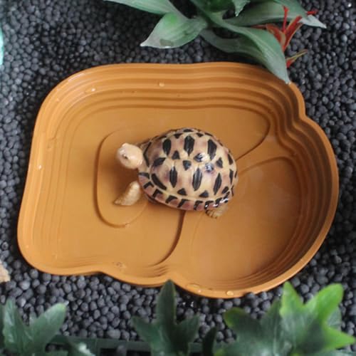 Amphibians Feeding Soaking Pool Multifunctional Reptiles Habitat Water Feeding Bowl Platform with Step Design Reptiles Sunbathing and Station - color: Green brown, size: Large