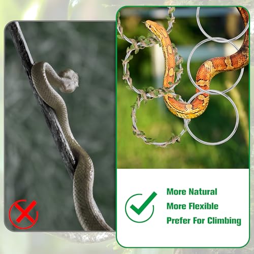 Snake Climbing Rings for Ball Python-Enrichment Snake Enclosure Accessories | Snake Climbing Accessories with Hanging Buckle, Rattan Rope for Bearded Dragon, Chameleon, Iguana, Gecko, Lizard, Parrot