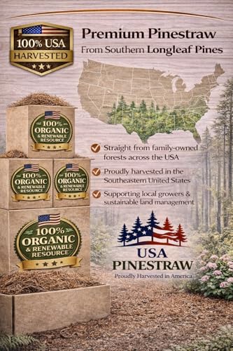 Long Needle Pine Straw Mulch - 160 Sqft Coverage 1 Set - Premium USA Harvested PineStraw for Landscaping, Weed Control, Moisture Retention & Erosion Control - USA Pinestraw - size: Pine Needle Mulch - Covers 160 Sqft 1 set