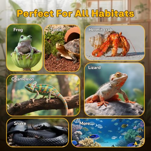 14 W Reptile Heat Pad 11 x 5.9 Inch Reptile Heating Pad Under Tank Terrarium Safe Fast Heating Mat Heat Mat for Turtles Frogs Snakes Lizards Geckos Hermit Crabs Spiders & Other Reptiles - size: upgrade 14W ( 11 x 5.9 Inch)