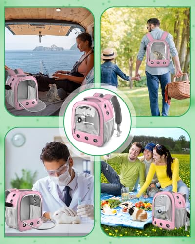 DBNESS Guinea Pig Carrier Backpack, Portable Rabbit Travel Carring Bag for Pet Bunny Chinchilla Bearded Dragon Hamster Parrot Outgoing Pouch Case with Water Bottle Holder & Detachable Pad (Pink) - color: Pink