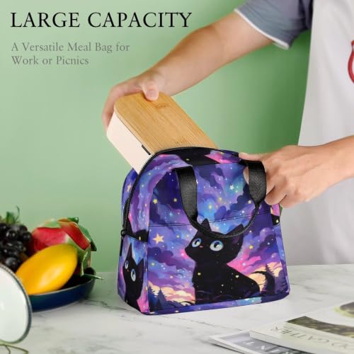 Starry Night Cat Lunch Bag for Women Men | Insulated Lunch Box Leakproof Food Meal Containers Reusable Foldable 6L Capacity Lunch Tote Bags for Work Picnic Travel - color: style-16