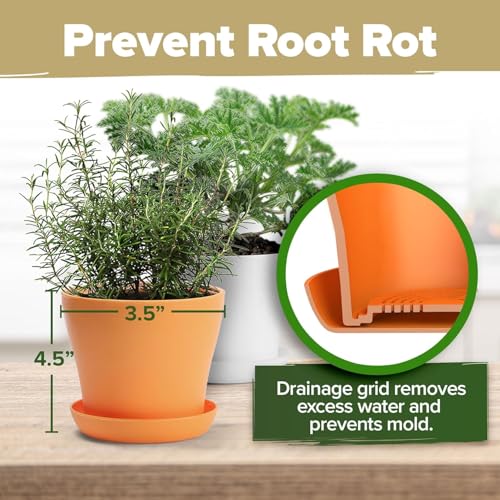 HOME GROWN Gift Herb Kit – 8 Herb Seeds Set with Basil, Cilantro, Mint & More, Complete Indoor Grow Kit for Kitchen, Gardening Gifts for Women & Men, Ideal for Cooking & Home Décor - style: Deluxe Herb Grow Kit