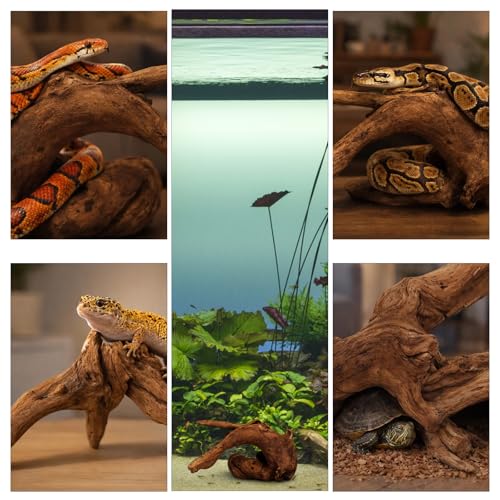 4PCS Driftwood for Aquarium, 1.96''-5.91'' Aquarium Driftwood, Fish Tank Driftwood, Ideal for Fish Tanks, Freshwater Aquariums, Terrariums(Random Style)