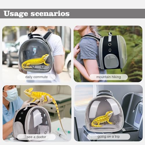 WEVONIGU Expandable Small Animal Backpack Carrier with Clear Bubble Window Large Space Travel Cage for Hedgehog Rat Parrot,Bearded Dragon,Sugar Glider,Airline Approved (Black, BE Backpack) - color: Black, size: BE Backpack