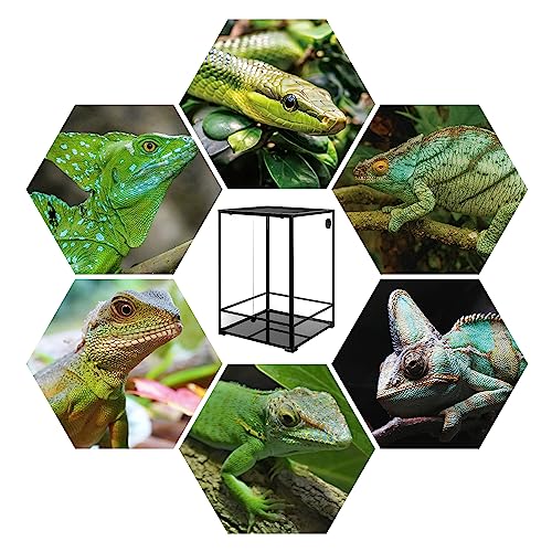 REPTIZOO 90 Gallon Reptile Terrarium 24" x 24" x 36" Large Glass Reptile Tank, Tall Terrarium with Front Opening Door and Top Screen Ventilation Easy Assembly Habitat Tank - size: 24" x 24" x 36"