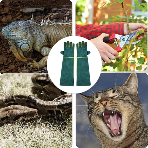Animal Handling Gloves Bite Resistant, 23.6'' Anti Scratch Glove for Cats, Multipurpose Bite Proof Leather Pet Gloves for Grabbing Cat Reptile Puppy Bird Poultry or Gardening Welding - color: 60cm,regular