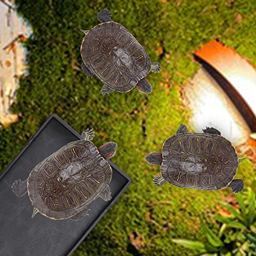 Reptile Food Water Bowl Plate Dish for Tortoise Crawl Pet Drinking and Eating Hallow Water Dish for Reptiles (Size2-M) - size: Size2-M