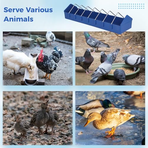 4 Pcs Large Pigeon Feeders 8-Slot Bird Dispensers, Poultry Feeding Dishes with with Removable Steel Wires, Thick Durable Slot Container for Feeding Parrots, Chickens, Ducks