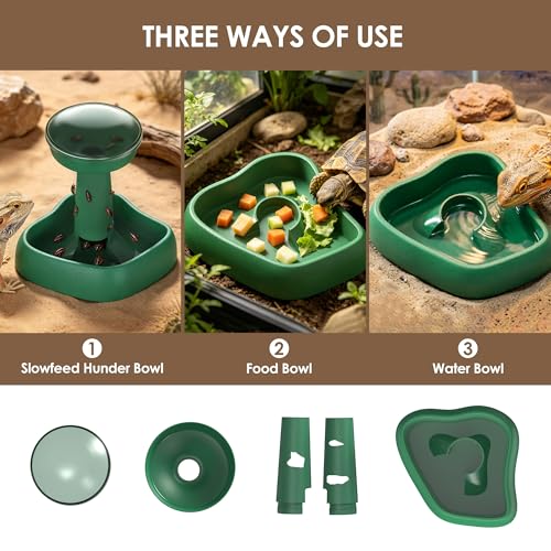 Reptile Feeder for Lizards – Natural Foraging & Slow Feeder Design, Anti-Tip Stable Base for Roaches Insects, Dual-Use as Food or Water Dish, Escape-Proof Training Feeder for Bearded Dragon Gecko (L) - size: L