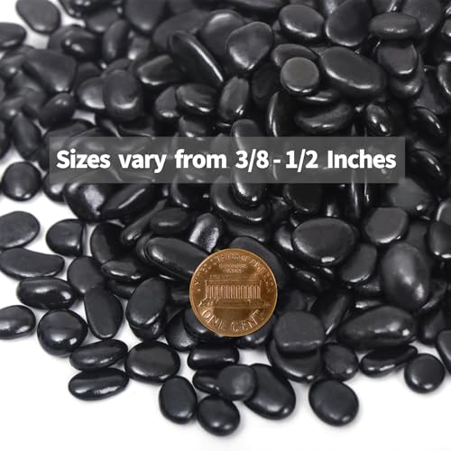10LB Black Pebbles for Indoor Plants, 3/8 Inch Polished Small Rocks | Natural Decorative Pebbles for Vases, Cactus, Succulent and Outdoor Gardening - size: 10lb, style: Black